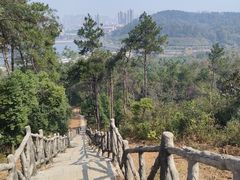 -青龙山国家森林公园