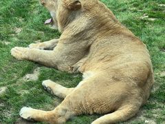 -北京野生动物园