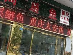 门面-球溪周鲢鱼