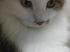 -坤记隆江猪脚饭(广汕一路店)