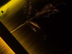 -春风里足道(娄桥店)