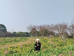 -秀丽东方