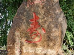 -西双版纳总佛寺
