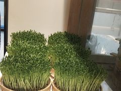 -千稻剁椒大鱼头(CityOn熙地港店)