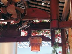 -吃饭皇帝大(合生汇店)