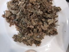 -京北渔家傲