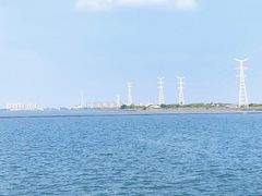 -鹅湖玫瑰文化园