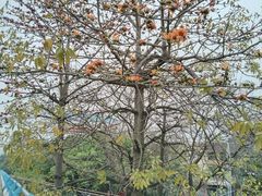 -怡海公园(桂城街道)