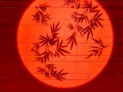 -真定郝家排骨(正定县总店)