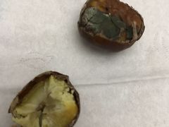 -阿男野栗王(金门路店)