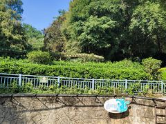 -深圳野生动物园