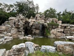 -莲花池公园