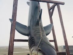 -刘家湾赶海园