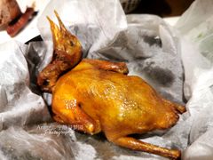 -大鸽饭(岗顶店)