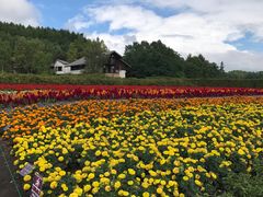 -富田农场