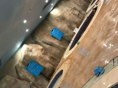 -青岛东方影都融创水世界