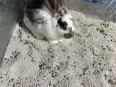 -太奥幻太奇海洋馆