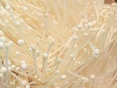 -牛YO寿喜烧和牛火锅自助(三台子万象汇店)