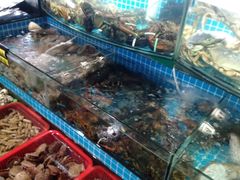 -望海潮海鲜店 特色家常菜(在海一方店)
