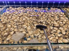 -川骄海鲜自助(河东店)