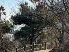 -阳台山自然风景区