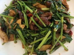 湘潭小炒羊-南山鲜虾面·活鲜小馆·海味大连菜(南山总店)