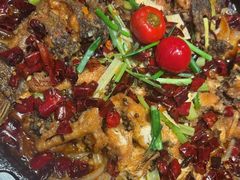 -老板恋上鱼(恒隆广场店)