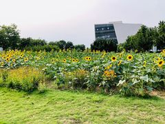 -济南国际园博园