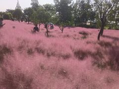 -嘉北郊野公园