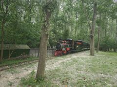 -合肥滨湖国家森林公园