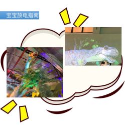 -恐龙探索乐园(磁器口店)