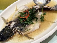 -聚彩居三和酒楼•老字号粤菜(南城店)