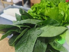 -濠轩阁特色生蚝火锅(水湾路店)
