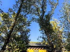 -虞山风景区