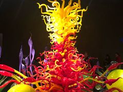 -奇胡利玻璃艺术园