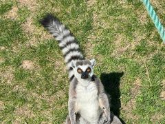 -西霞口神雕山野生动物世界