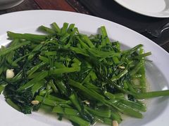 -绿光森林餐厅
