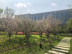 -中国银行江苏省分行培训中心