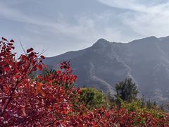 -周口店坡峰岭风景区