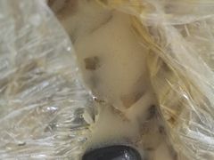 -川外川(星海店)