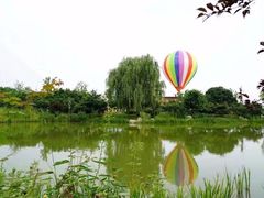 -梁鸿国家湿地公园