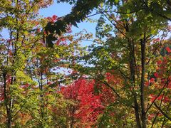 -九鼎铁刹山风景区