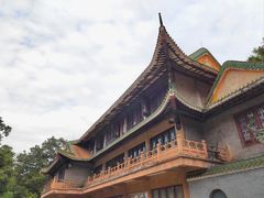 -南海湾森林生态园
