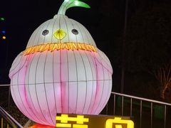 -武汉园博园(武汉自然博物馆)