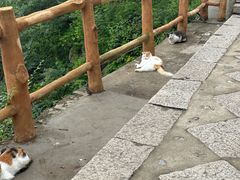 -慕田峪长城