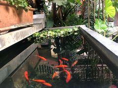 -香满楼(临安路店)