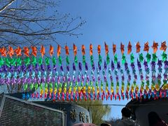 -富斯特索道