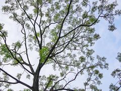 -晓港公园