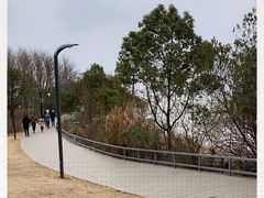-上海吴淞炮台湾国家湿地公园
