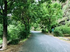-Local泰莲庭(虹鳟鱼店)